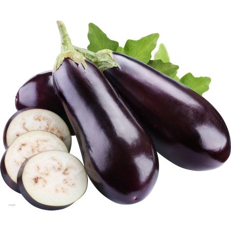 Aubergine/kilo