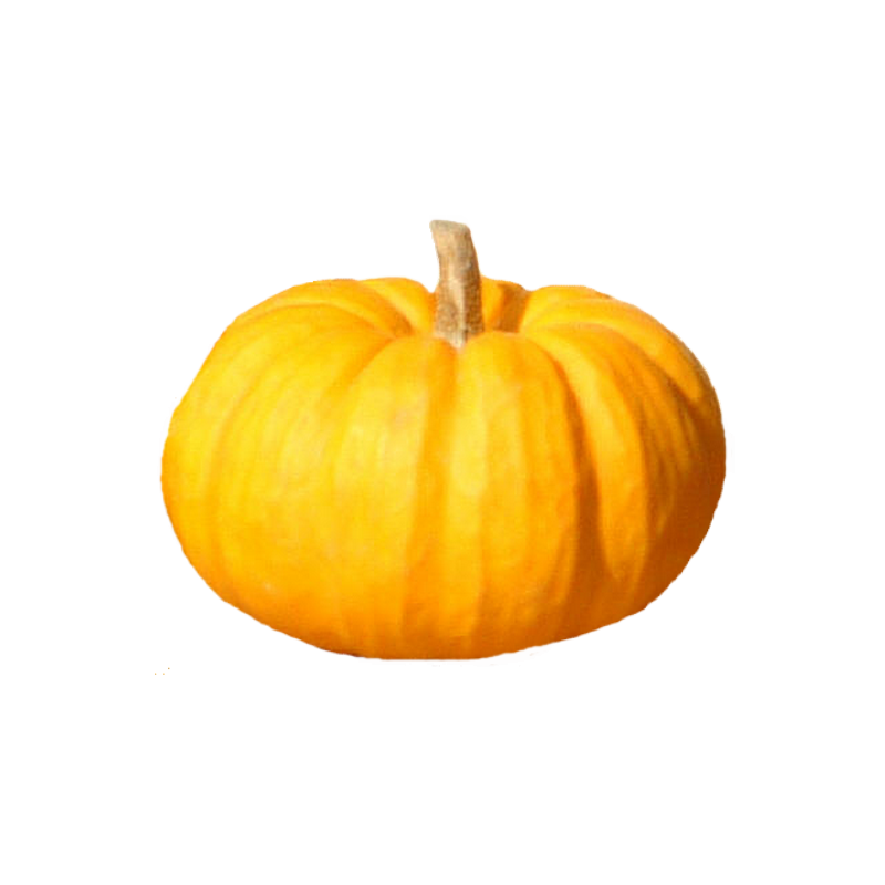 Courge/citrouille au kilo