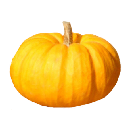 Courge/citrouille au kilo