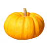 Courge/citrouille au kilo
