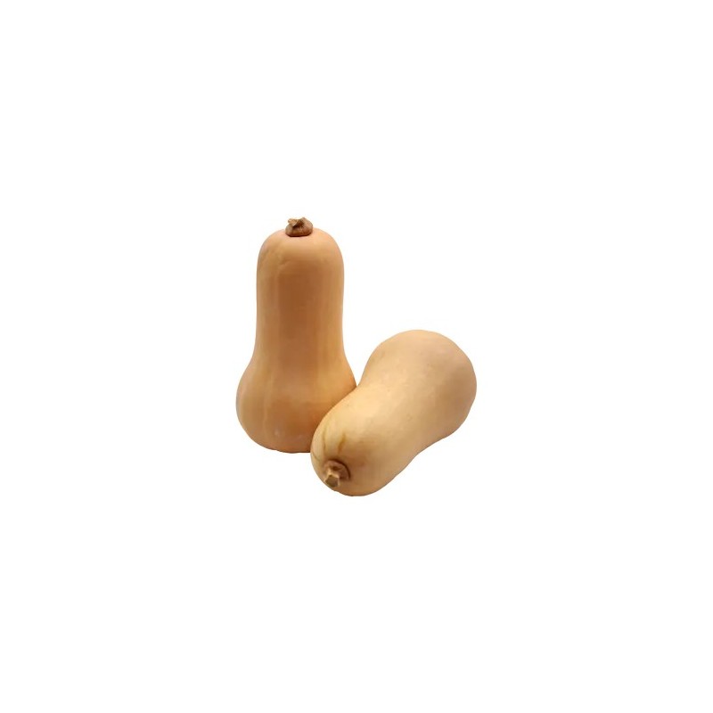 Butternut/kilo