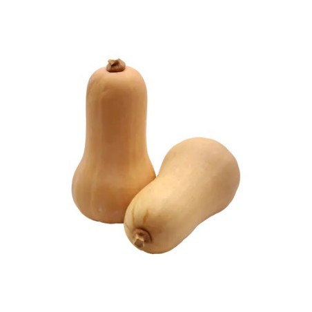 Butternut/kilo