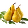 Poire/kilo