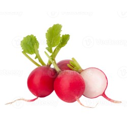 Botte de Radis (pièce)