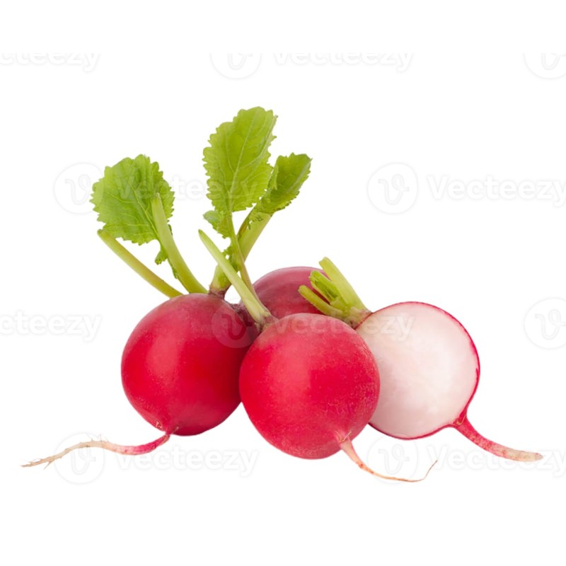 Botte de Radis (pièce)