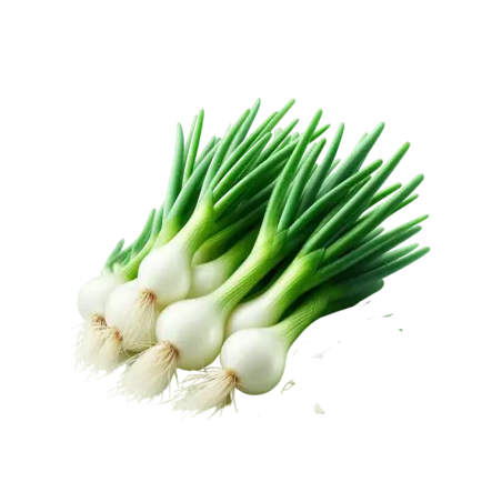 Botte de Cebette (à la pièce)