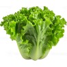 salade (pièce)