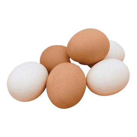 6 Oeufs