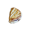 Chausson aux Pommes