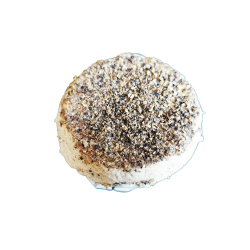 Fromage chèvre/ 3 poivres