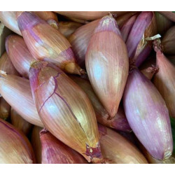 Échalottes kg