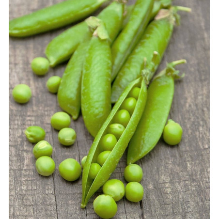 Petits pois /kg