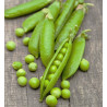 Petits pois /kg