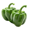 Poivron Vert /kilo
