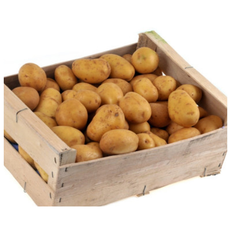 5kg de Pommes de Terre