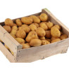 5kg de Pommes de Terre